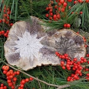 Poinsettia Bouquet - Hand Drawn On Bracket Fungus